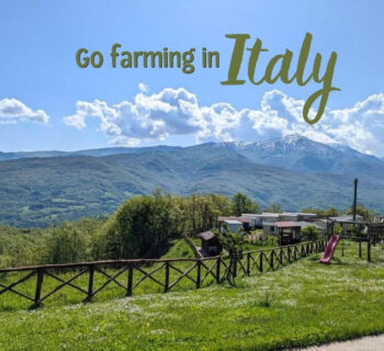 Volunteer on a farm in Italy