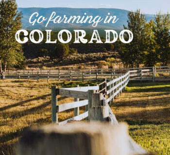 Volunteering in the USA for hard-working nature enthusiasts