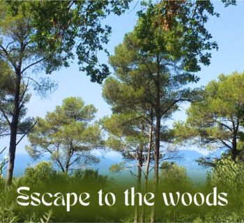Free accommodation in exchange for work in Italy